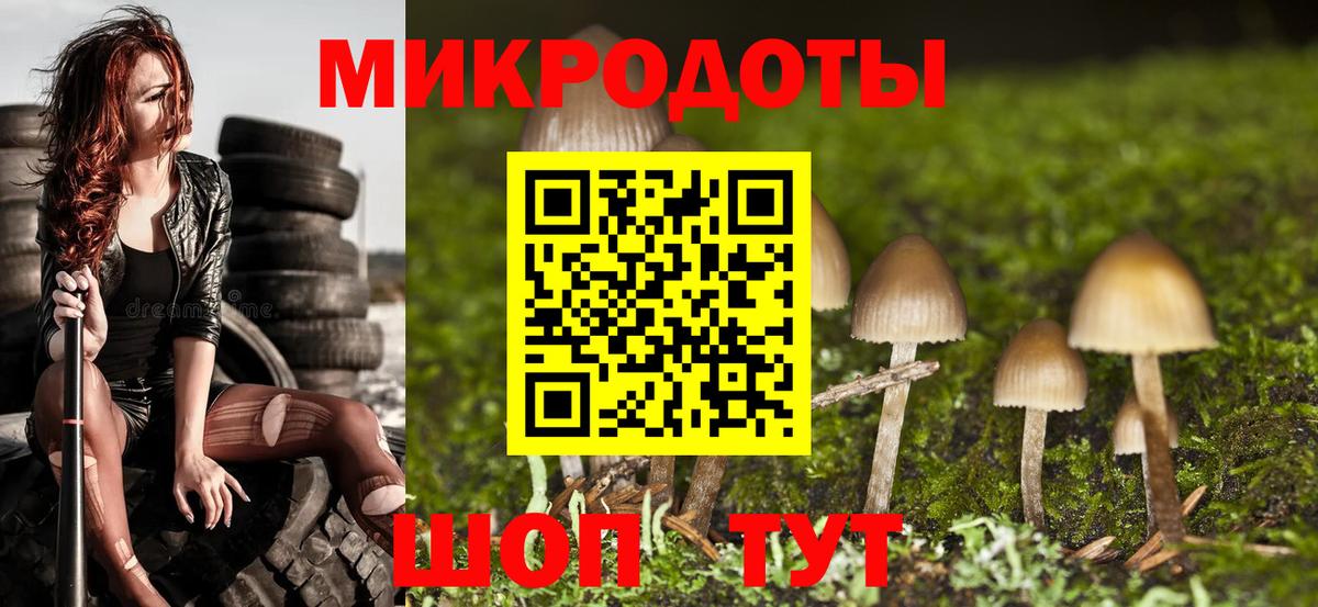 Галлюциногенные грибы Cubensis Черняховск