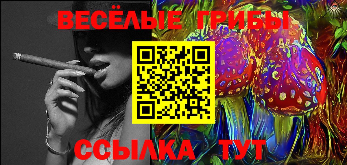 Черняховск  Галлюциногенные грибы ЛСД  Вход с VPN 
